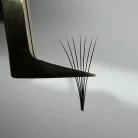 True Lashes x Deep Lashes - Mrs. Always Right Volume-Pinzette für Wimpernextensions